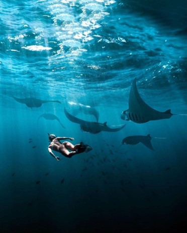 Swim with Manta Rays in Nusa Penida